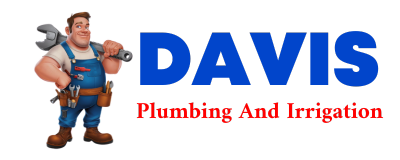 Trusted plumber in TRUSSVILLE